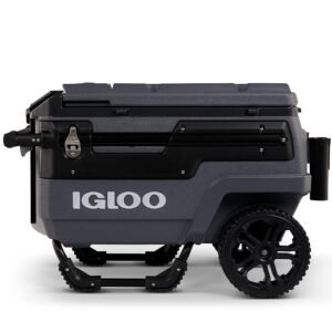 Multifunctional Thermal Cooler for Camping, Beach, and Outings